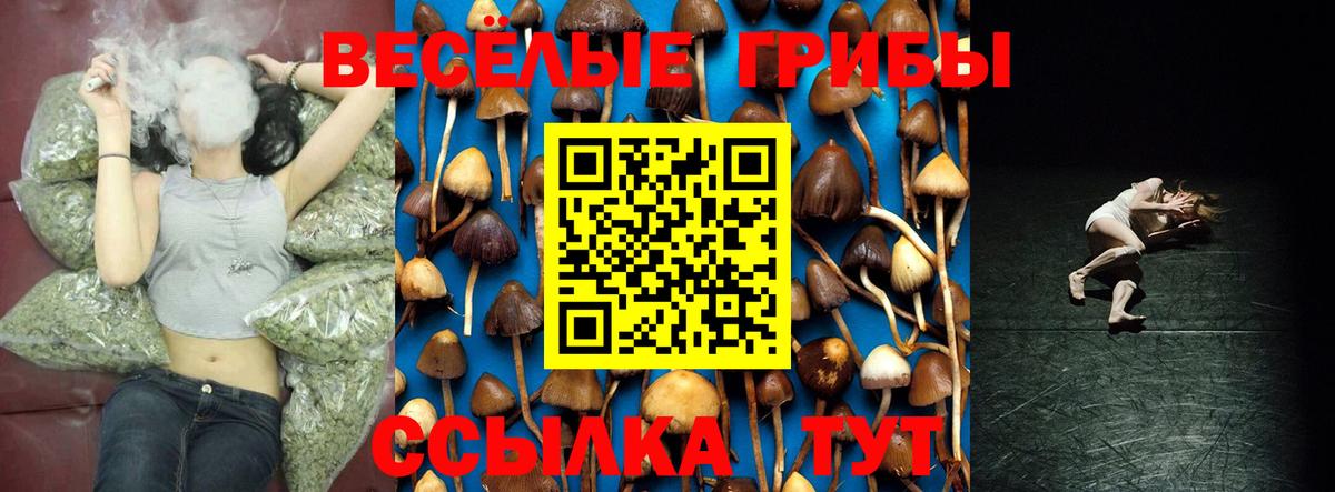 Галлюциногенные грибы Cubensis Волхов