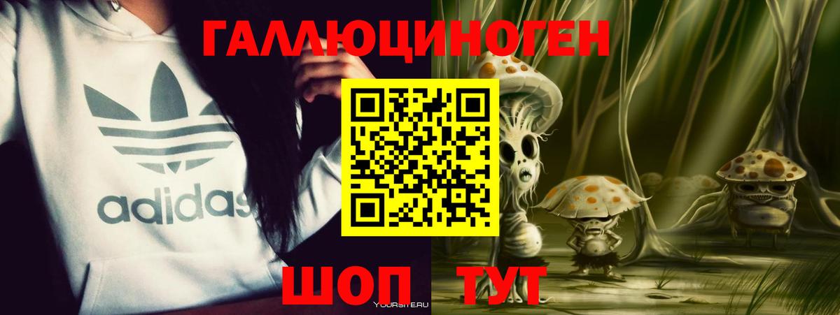 Волхов  Псилоцибиновые грибы MAGIC MUSHROOMS  Вход с VPN 